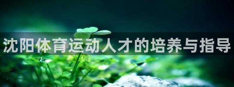 杏运体育官网入口登录