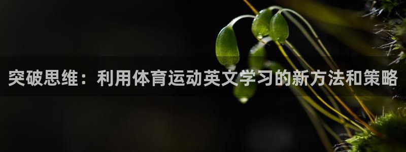 杏运4代理