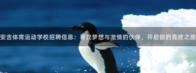 杏运体育热门赛事有哪些