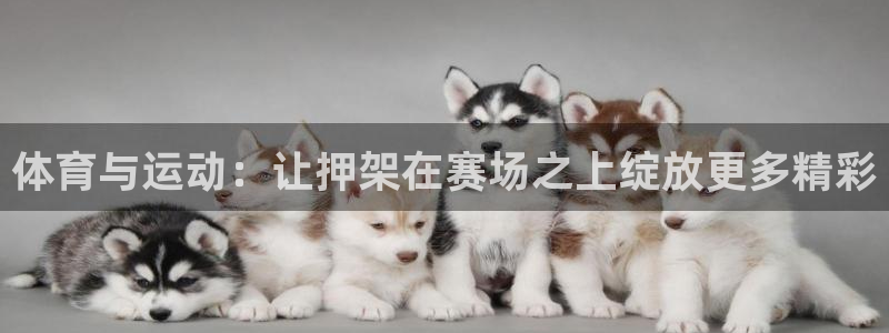 杏运平台总代理