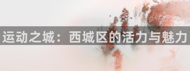 杏运汽车
