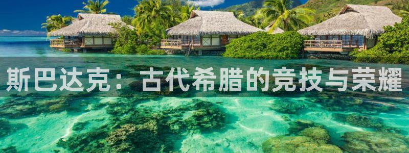 杏运达贝怎么吃