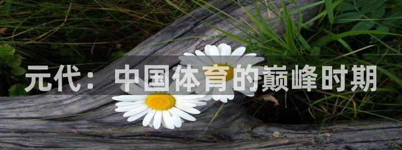 杏运官网注册