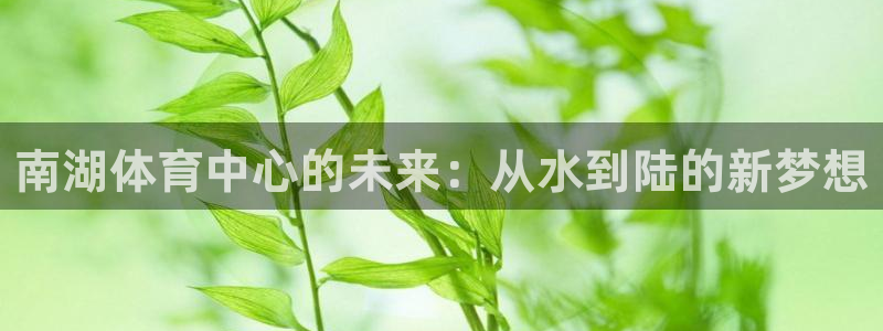 杏运新能源汽车价格