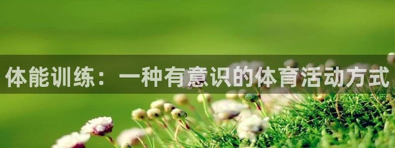 杏运凯捷平台注册链接