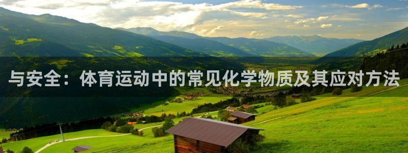 杏运凯捷平台