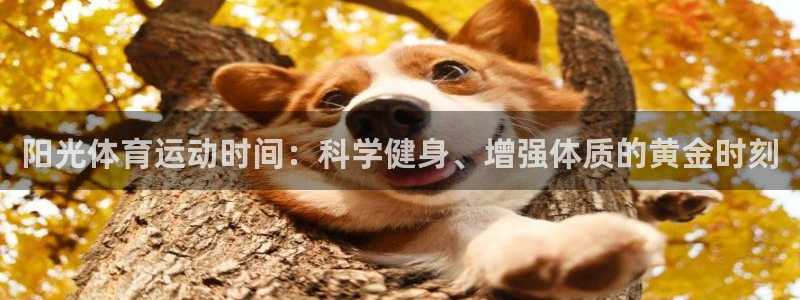 杏运体育f开户