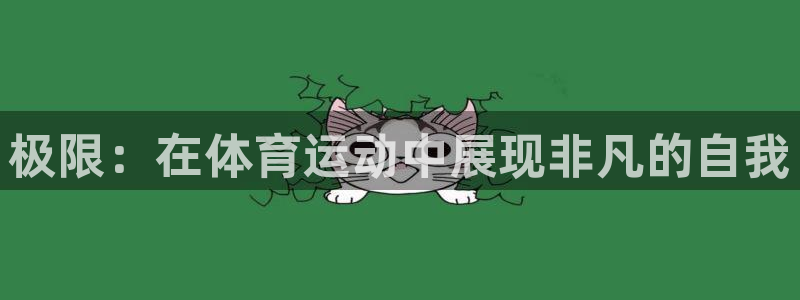 杏运新能源汽车