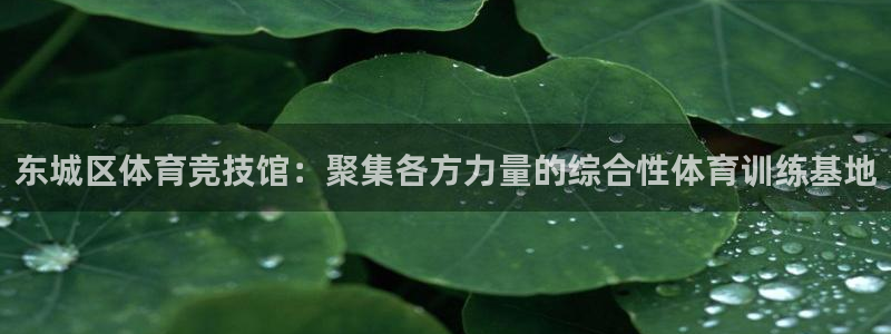 杏运2登录入口