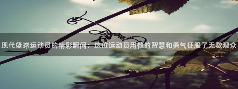 杏运5