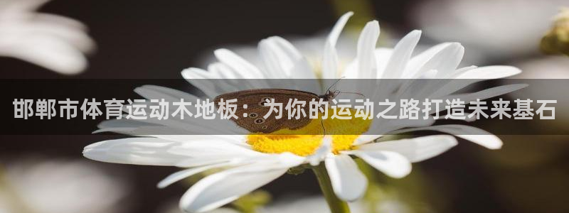 杏运体育3在线注册