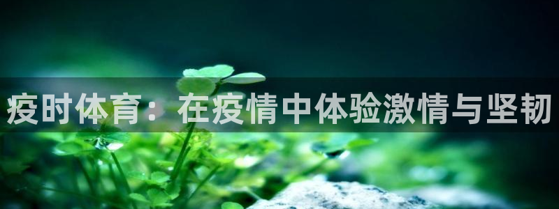 杏运f凯捷注册
