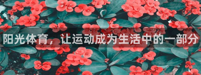 杏运达贝