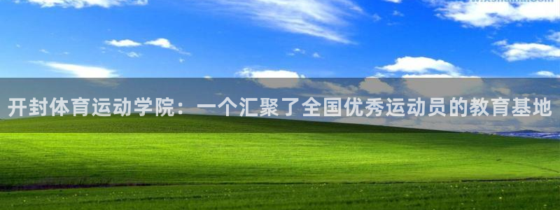 杏运电动汽车多少钱一辆