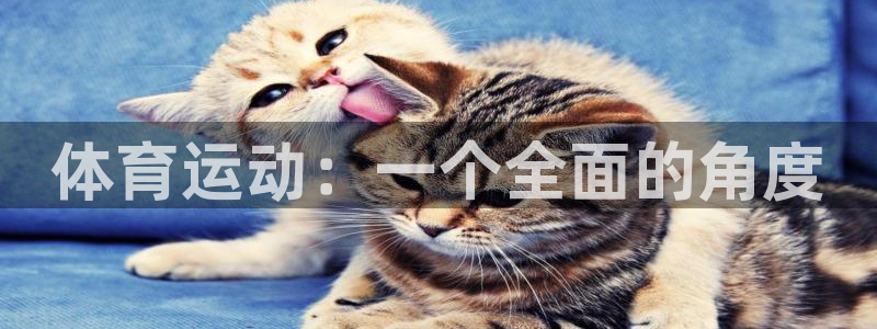 山东杏运新能源汽车有限公司